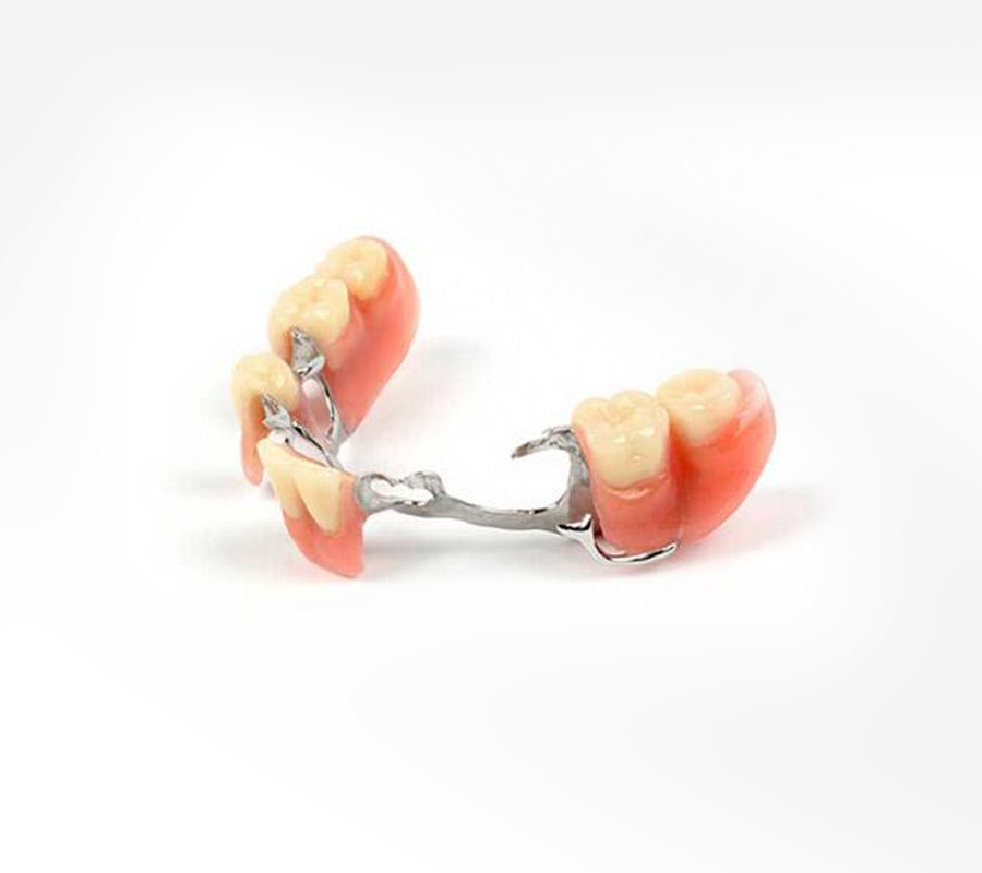 Partial Denture Partial Denture